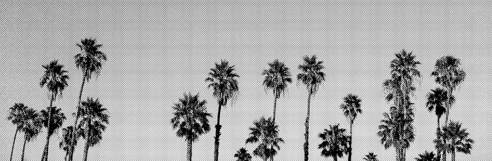 Black Textured Background